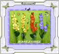 bjfleurs13fr
