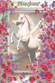 horse27.02.08