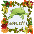 salutgrenouille140208