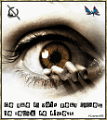 Regard040208