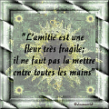 amitiefragile