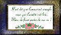 cadreamour9dq