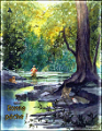 Carte08.11.08