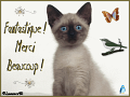 Fantastique_Merci_BCP_26.10.08