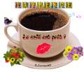 laurencecafe