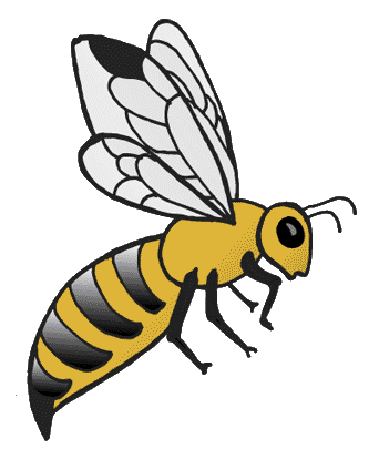 abeille1.png