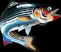 fishb