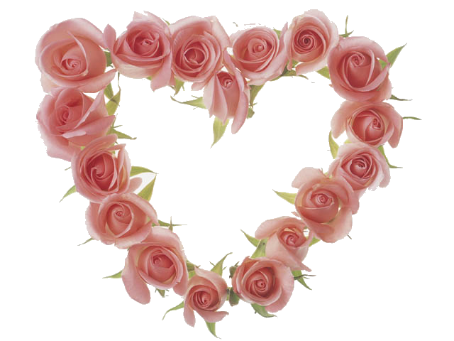 rosesss1.png