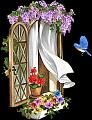windoww