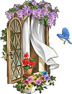 windoww.gif