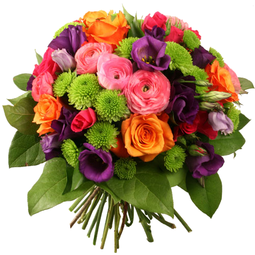 Image7hh.png