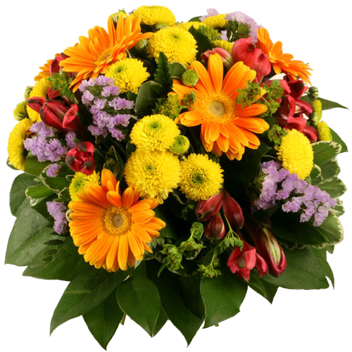 Image9jj.png
