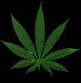 feuille