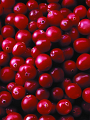 00013