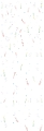 5birthdaybackground