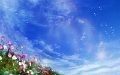 Summer-01
