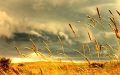 WallPaperHD-015