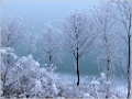 givre-etang