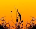 nature20sun
