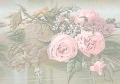nature_003