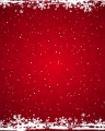 noel_100p100