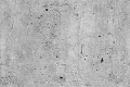 347638_229661_fundal