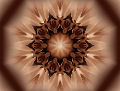 Animation13pbelier