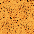 Animation4