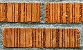 Bricks0Exotic