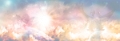 PA_classic15_v1_lp-bg