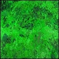 UTC3FP