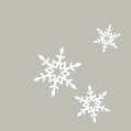 _flocons