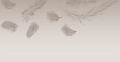 bg9