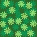 bgreendaisy