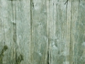 bois1024
