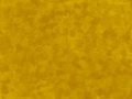 ffyellow024