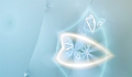 fond-1bcefe