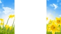 fond-site-saison_4