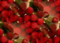 fruits