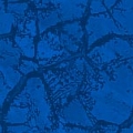 haldolbl