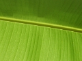 img9