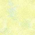 jaune006
