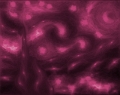 kalee5