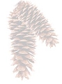 nature163