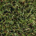 nature_044