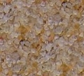 sable