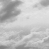 text25