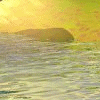 text31