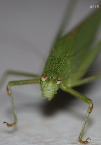 image02