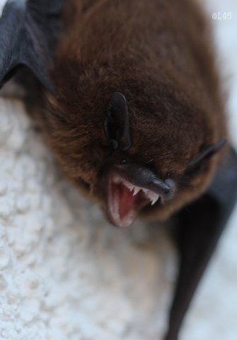 image03